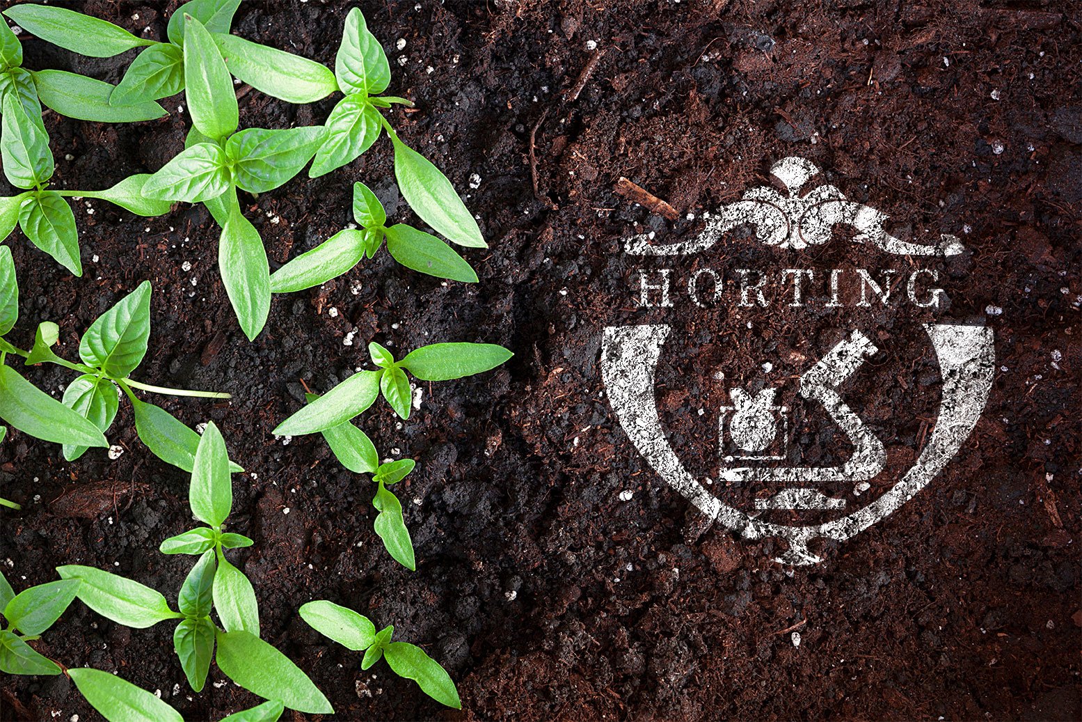 Young seedlings and the Horting Institute symbol